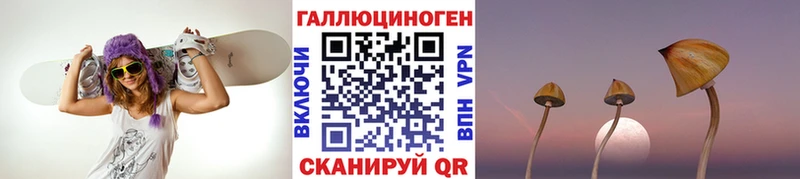 Купить  Питкяранта  Псилоцибиновые грибы MAGIC MUSHROOMS 